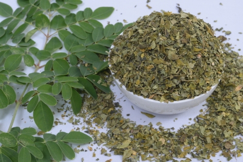 India Moringa Tea cut leaves Suppliers