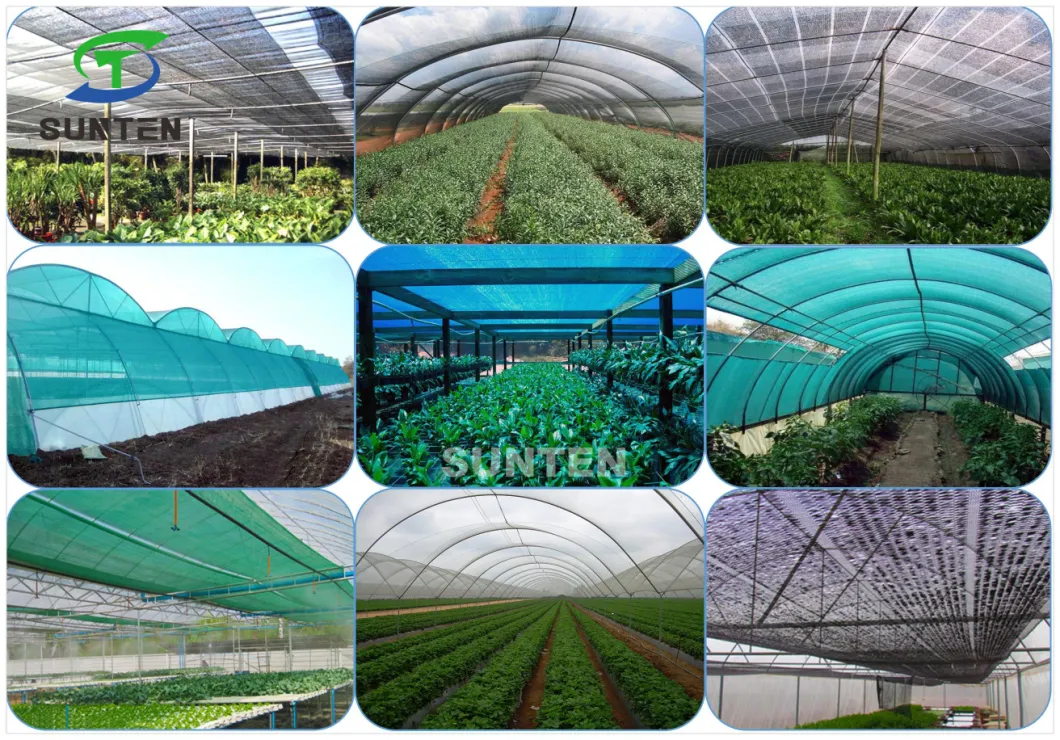5 Years Green HDPE Agriculture/Agro/Agri/Greenhouse/Hoticulture/Vegetable/Garden/Raschel/Shading/Sun Shade Net