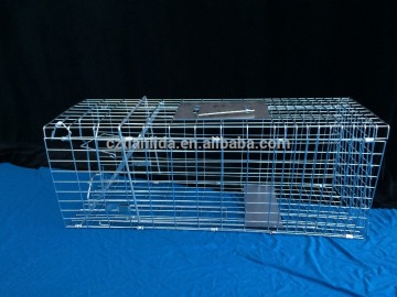 Collapsible mink traps for sale amazon