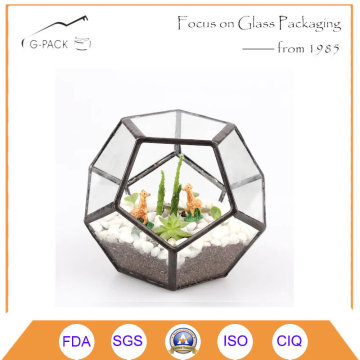 Clea Glass Terrarium Box Succulent Moss Fern Cacti Holder Case