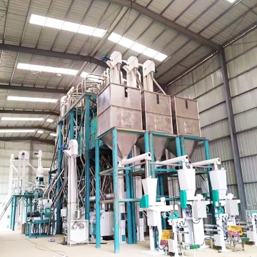 500T/24H Corn Flour Grinding Machine for Complete Maize Processing Line