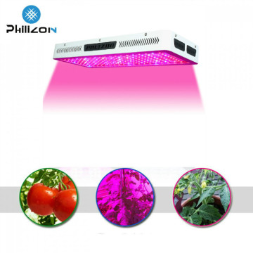 Luces de cultivo LED para tomates y verduras de lechuga