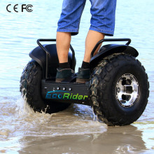 Hot Sale Personal Mobility Transporter, Electric Motors for Mobility Scooter of Big Wheels Model Esoi for Adults
