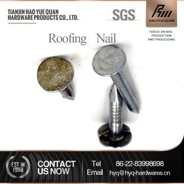 low price lead roofing nails from tianjin