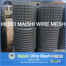 bird cage wire mesh
