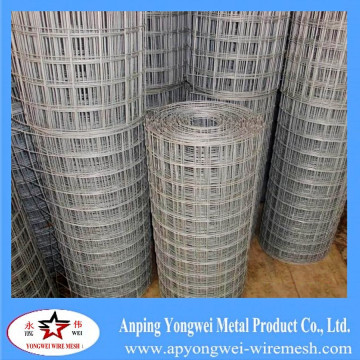 5x5 welded wire mesh/welded wire mesh buyers