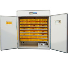 Industrial Egg Incubator and Hatcher Equipment for Chicken Eggs