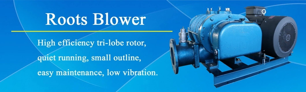 Рутс blower.webp Roots blower.webp