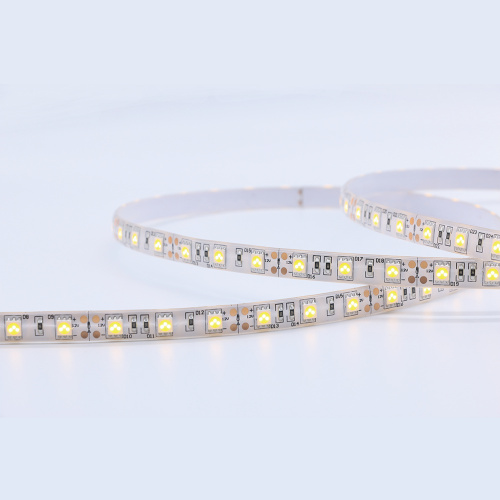 Magic color 5050smd  dimming strip light