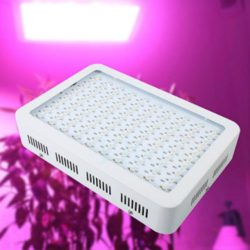 Best High Power LED Grow Lights High times