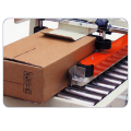 Carton Sealing with Side Belt Drive