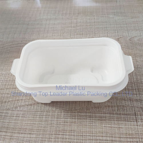 High temperature resistant new material pp lunch box