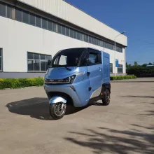 EEC Coc Ce L6e 3 Wheel Cargo Motorcycle with Closed Door