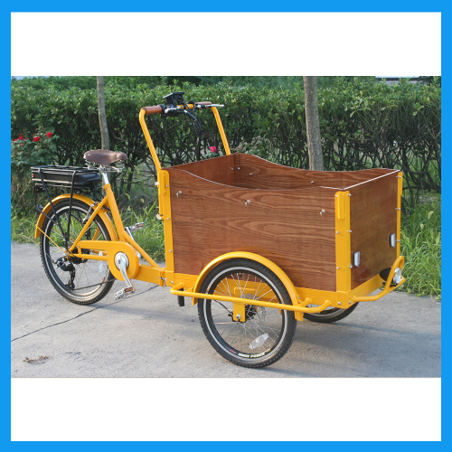 3 Wheel Electric Cargo Bike Tricycle for Sale