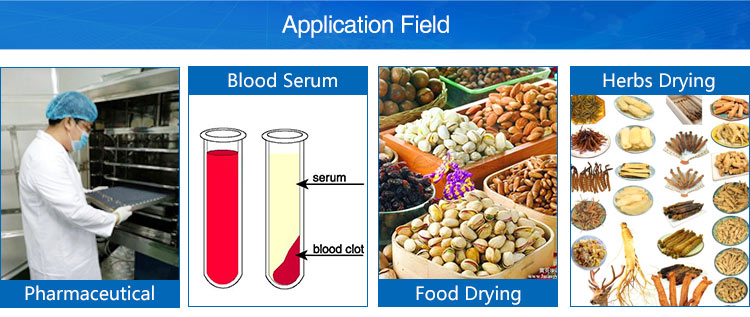 Laboratory Vacuum Small Freeze Dryer/Lyophilizer Price