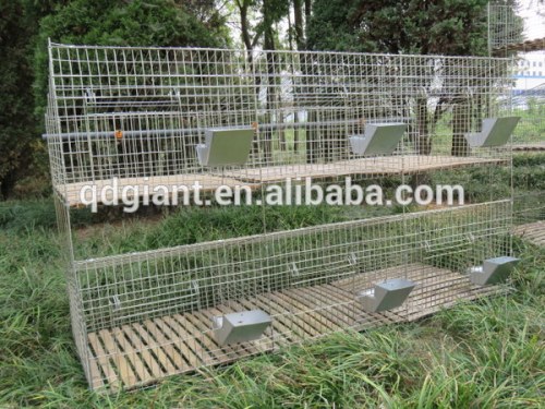 rabbit farming cage/rabbit breeding cages/commercial rabbit cages