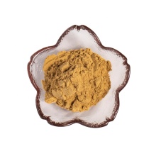 manufactor supply longan fruit extract powder 10:1