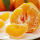 新鮮なフレッシュオーガニックバレエオレンジ