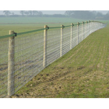 Galvanized livestock fencing cattle farm fence roll