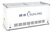 300L coca cola/pepsi display freezer refrigerator WD-300