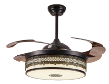 Brown Modern Retractable Fan Lamp