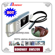 Digital Veterinary Palmtop Ultrasound Scanner BW520V