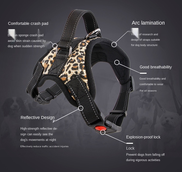 The New off-the-Shelf Factory Direct Sales Pet Supplies Medium Large Dog Collar Hand Holding Rope Pet Harness