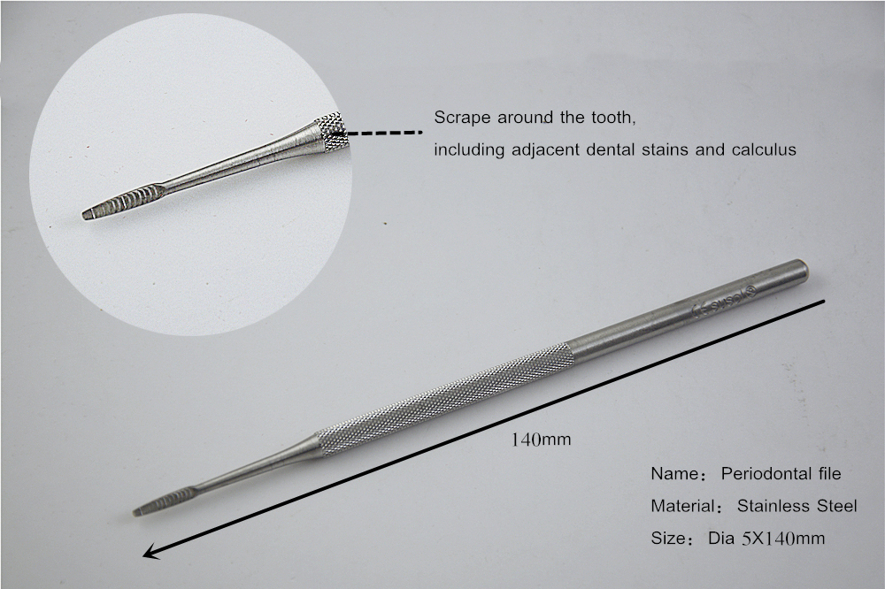 Metal Dental Pick Metal Dental Pick