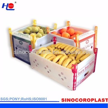 PP Plastic Corrugated Packaging Box