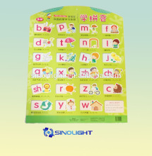 Children Learning Card Cardboard Paper English Study Card for Kids 4C/0 UV Vanish Hot Stamping Factory OEM