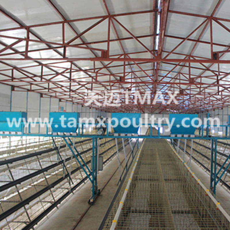 Automatic Chicken Cages