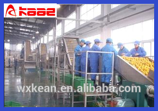 Bubble fruit surfing washing machine