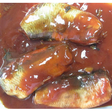 Heringskonservenfisch in Tomatensauce mit Öl