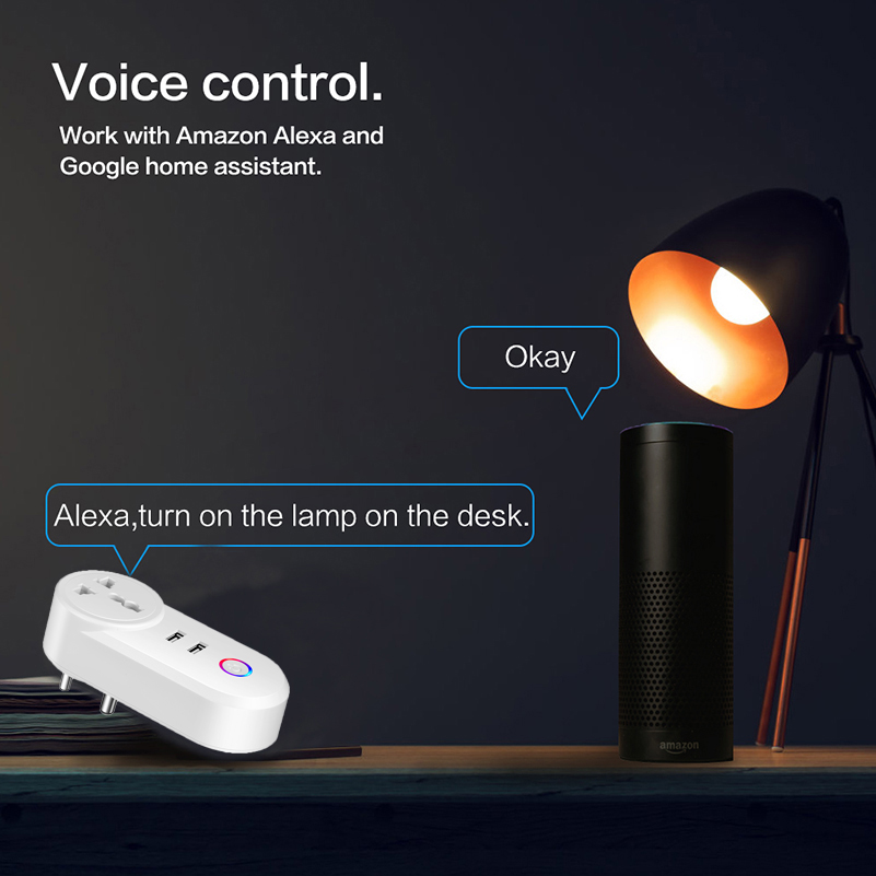 OEM Design Echo Timer Power Travel Mini Electric Outlet Wireless Adapter Socket Alexa India 2 USB Smart Plug