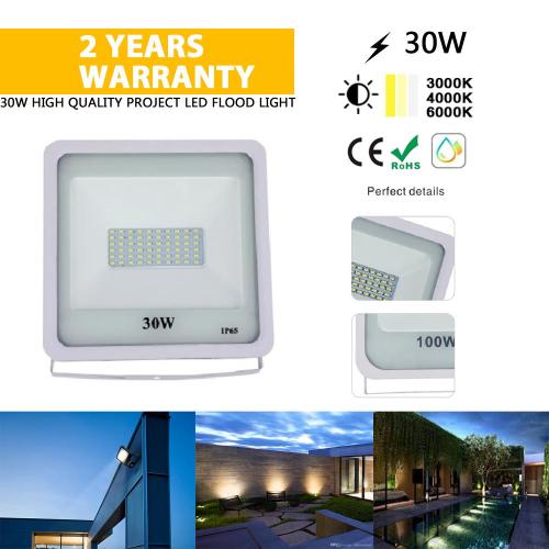 30W de alta qualidade e melhor luz de exterior