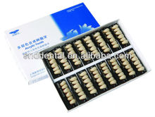 dental acryl teeth 6X1x16