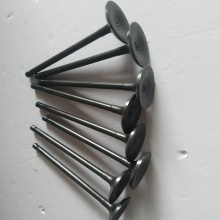 Jinbei Haise X30L 1.5L DLCG14 Intake & Exhaust Valve for Jinbei Shineray X30