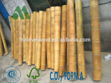 bamboo trunk/big moso trunk/chinese bamboo trunk/moso trunks