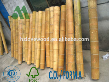 bamboo trunk/big moso trunk/chinese bamboo trunk/moso trunks