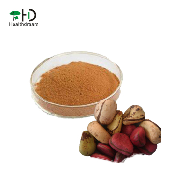 Kola Nut Extract 10:1,20:1