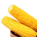 Double Packed Sweet Corn Cob