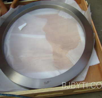 Titanium forgings Rings