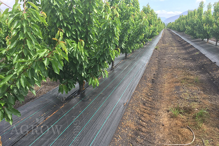 Garden Weed control fabric