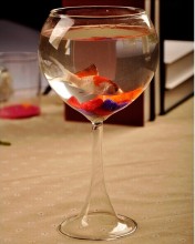 Crystal Glass Tall Fishbowl, Glass Tank
