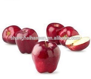 lemon fruit export import agent shanghai