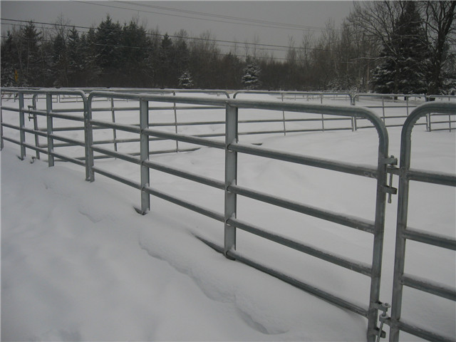 horse fence panels