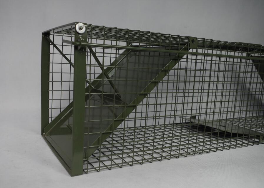 humane live multi catch wire mesh metal mouse rat animal trap cage Green PVC Live Badger Cage Trap