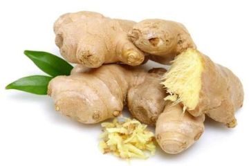 Wholesale Fresh Vegetable Organic Ginger