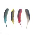 Fashionable Dyed Goose Feather