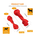 Dental Chew Jouets pour chiens